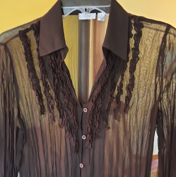 Women's Beautiful Brown Sheer Ruffle Crinkle Blouse - Picture 2 of 4